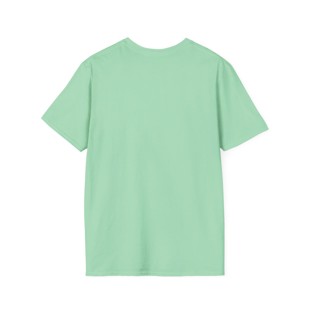 Grounding in Mount Shasta T-Shirt (Womens)