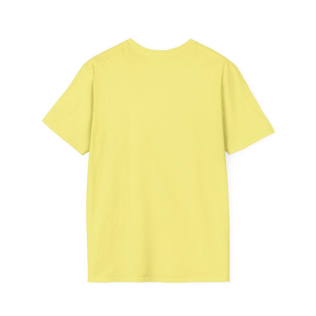Grounding in Mount Shasta T-Shirt (Womens)