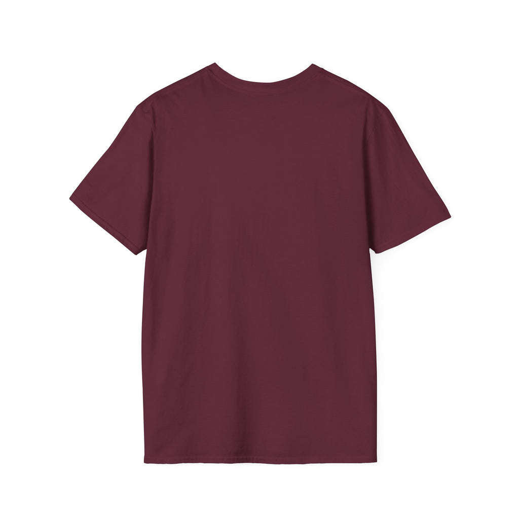 Mount Shasta California T-Shirt