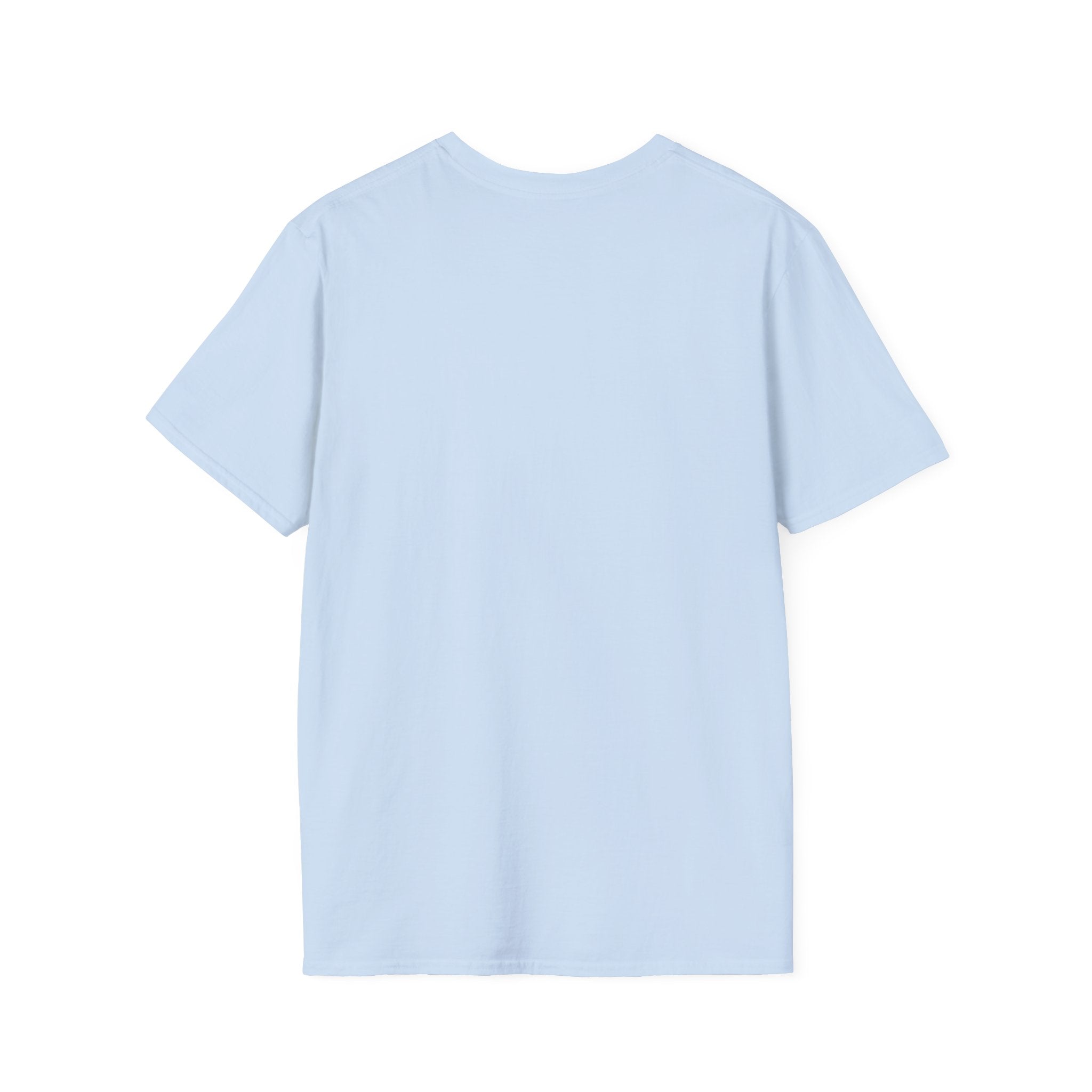 Grounding in Mount Shasta T-Shirt (Mens)