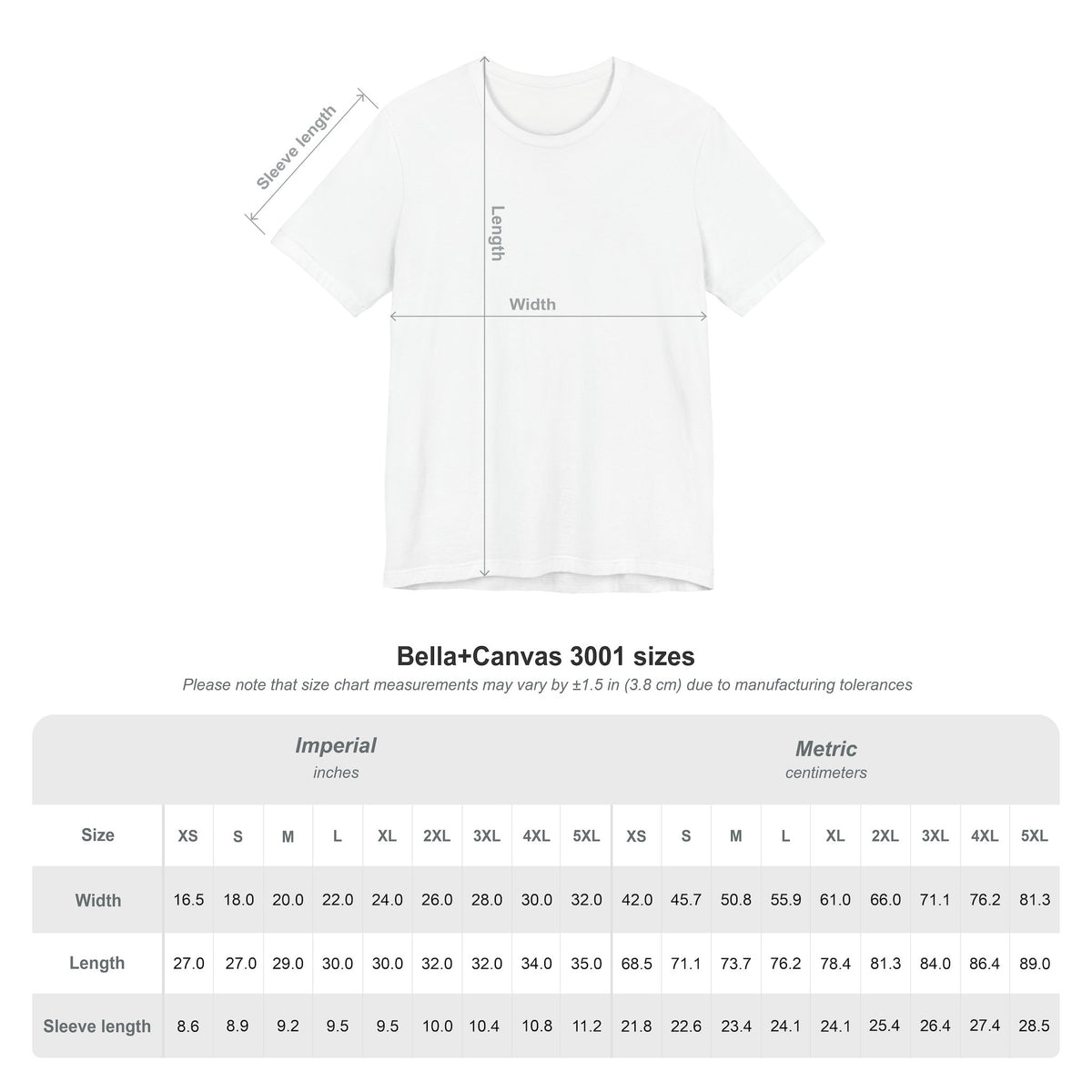 Mount Shasta Crosswalk T-Shirt