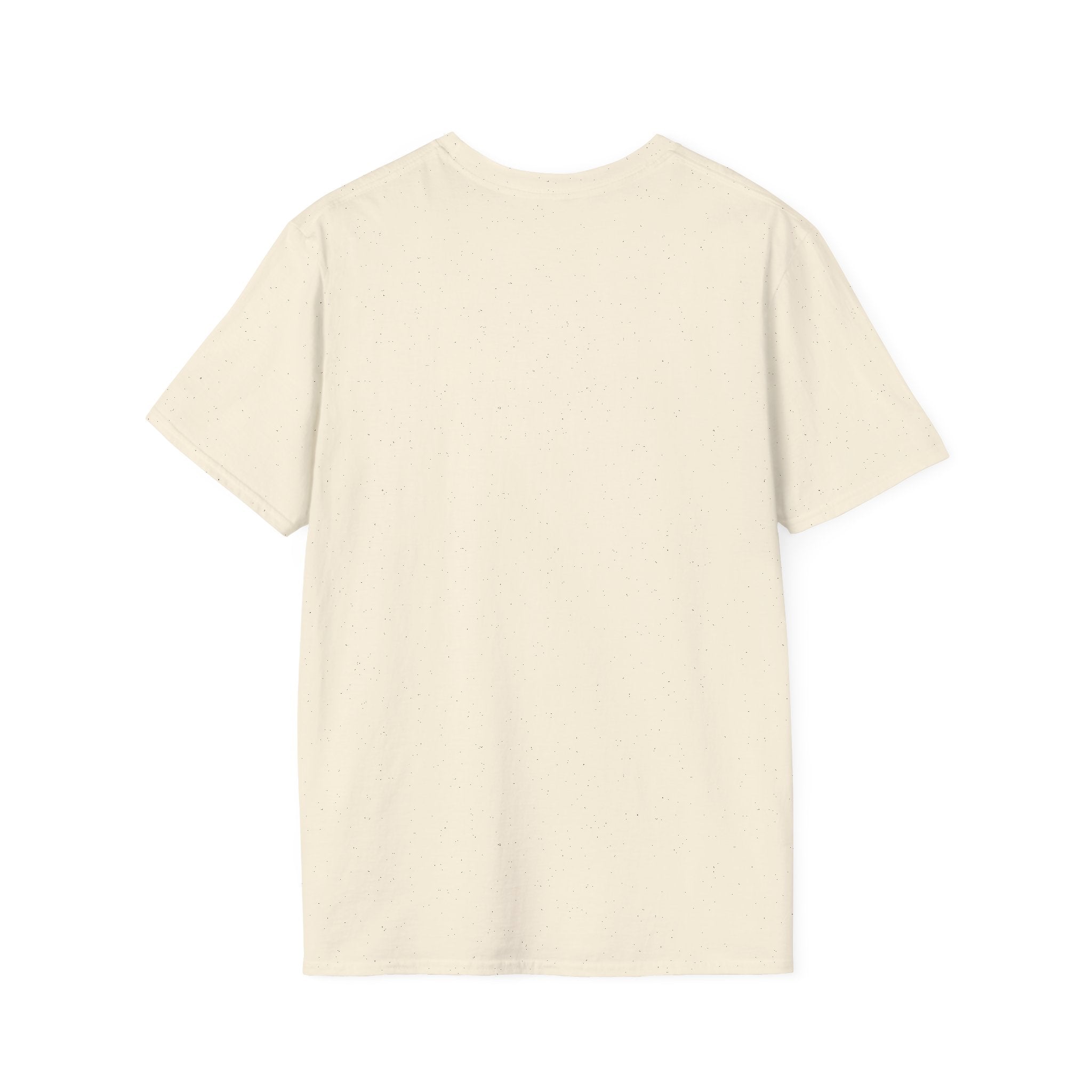 Grounding in Mount Shasta T-Shirt (Womens)