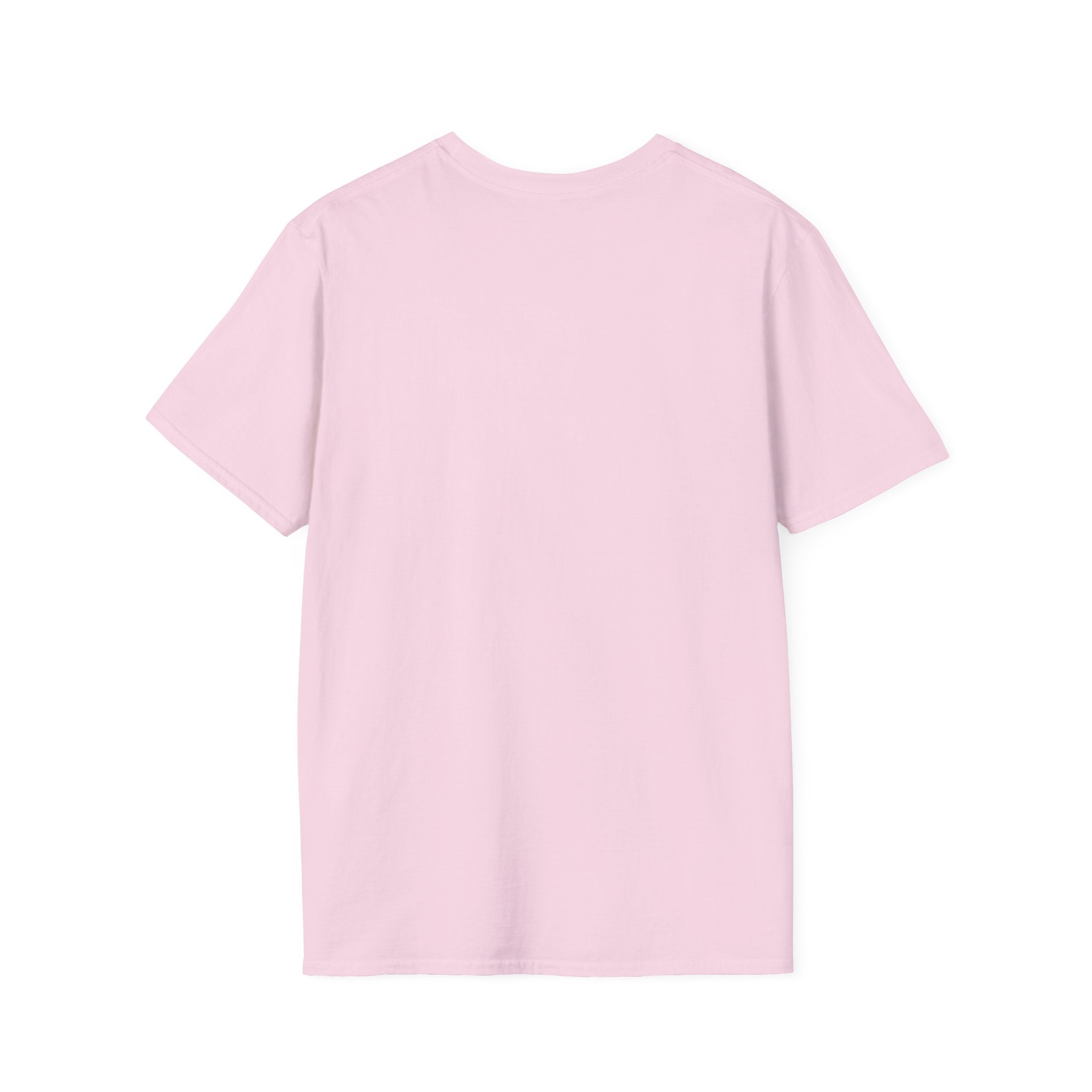 Grounding in Mount Shasta T-Shirt (Womens)