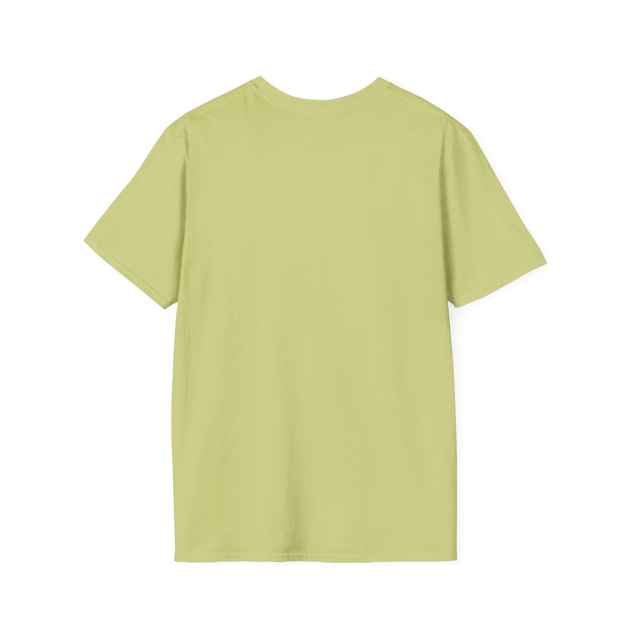 Grounding in Mount Shasta T-Shirt (Womens)